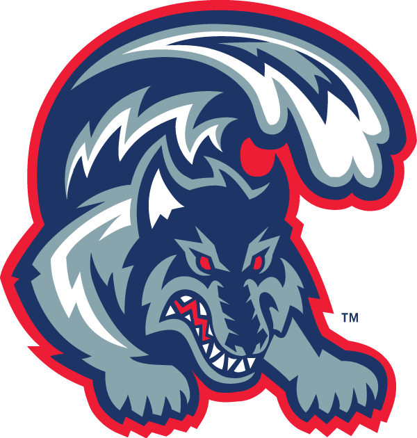 Stony Brook Seawolves 1998-2007 Alternate Logo iron on transfers for fabric